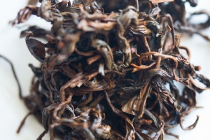 year-of-the-tiger-2022-yiwu-black-tea-4