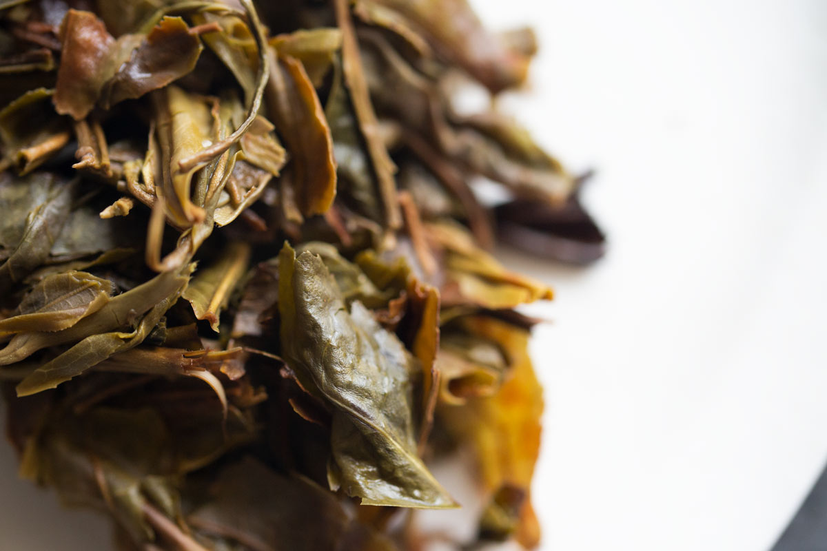 yiwu 2022 raw puer huangpian 10 | BITTERLEAF TEAS yiwu 2022 raw puer huangpian 10 | BITTERLEAF TEAS