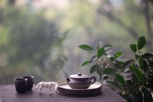 biancheng-zini-yixing-zisha-teapot-1
