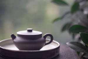 biancheng-zini-yixing-zisha-teapot-4