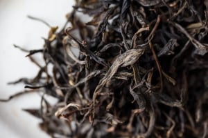 bitterleaf-finds-2019-xigui-raw-puer-3