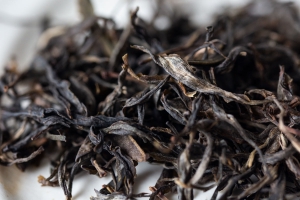 bitterleaf-finds-2019-xigui-raw-puer-4