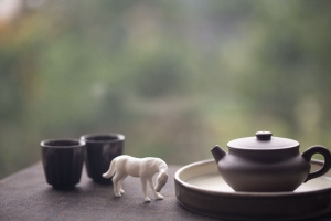 cheval-tea-pet-1