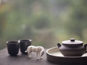 cheval tea pet 1 | BITTERLEAF TEAS