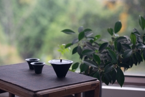 facet-gaiwan-1