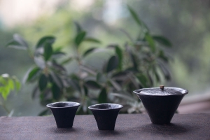 facet-gaiwan-2