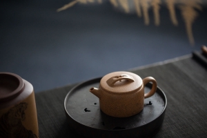 hanwa-huangjin-duanni-yixing-zisha-teapot-1