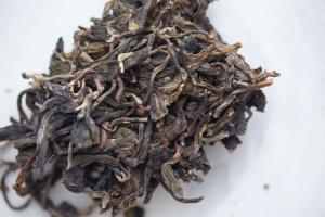 labs-2017-bangdong-raw-puer-comparison-7