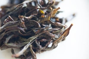 ambrosia-2022-baxian-dancong-oolong-5