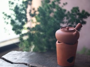 chaozhou standard boiler 5 | BITTERLEAF TEAS