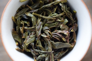 hestia-2022-jiangmuxiang-dancong-oolong-6