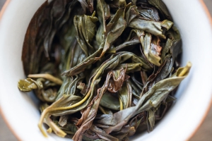 silver-gold-2022-yashi-dancong-oolong-4