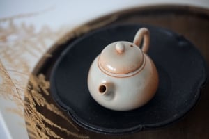 1001 Teapots - Teapot #383