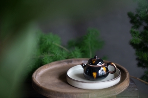 1001 Teapots - Teapot #389