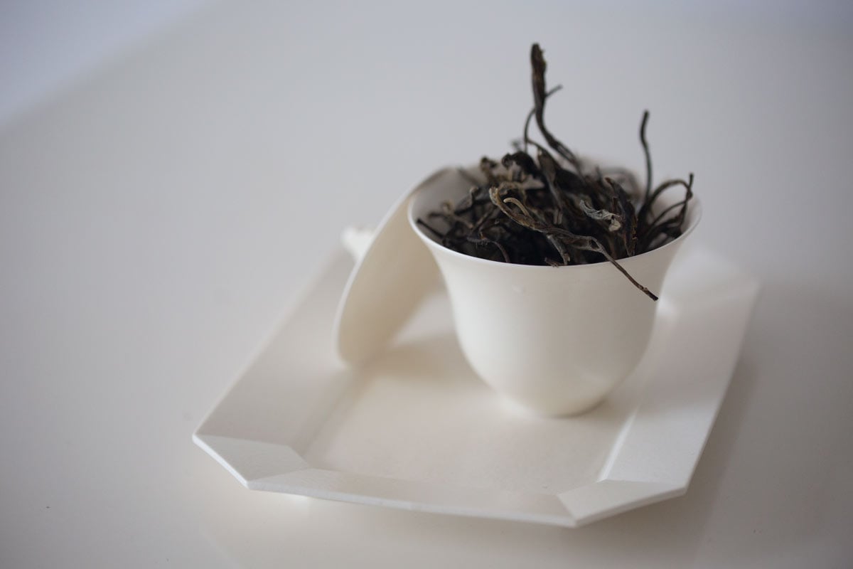 clover-gaiwan-4