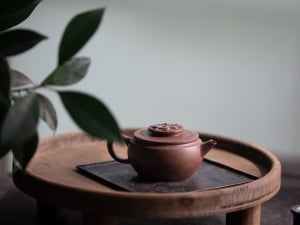 panlong yixing lao zini clay teapot 5 | BITTERLEAF TEAS