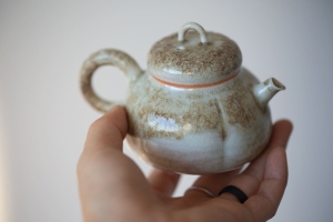 1001-teapots-407-7