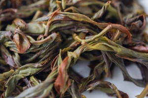 double-scoop-2022-winter-yashixiang-dancong-oolong-8