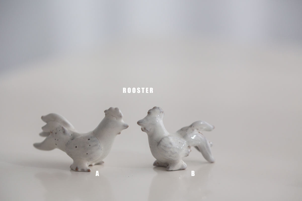 great race tea pet white 11 | BITTERLEAF TEAS