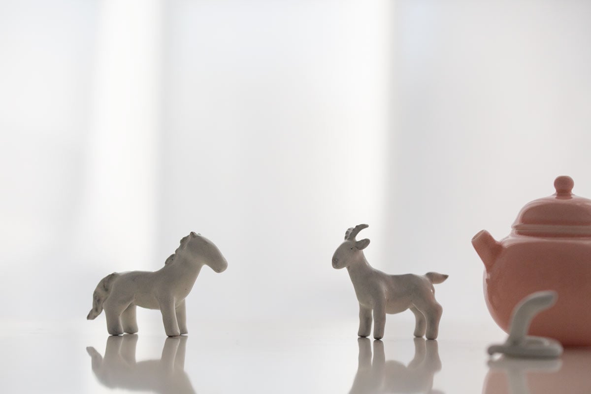 great race tea pet white 13 | BITTERLEAF TEAS