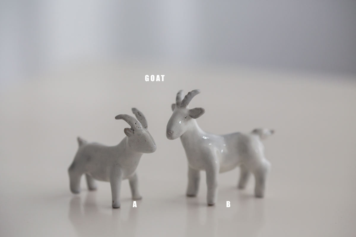 great race tea pet white 16 | BITTERLEAF TEAS