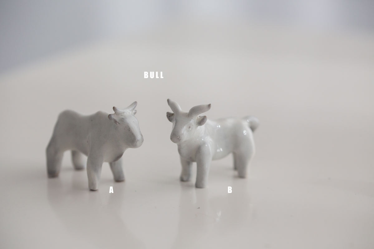 great race tea pet white 8 | BITTERLEAF TEAS