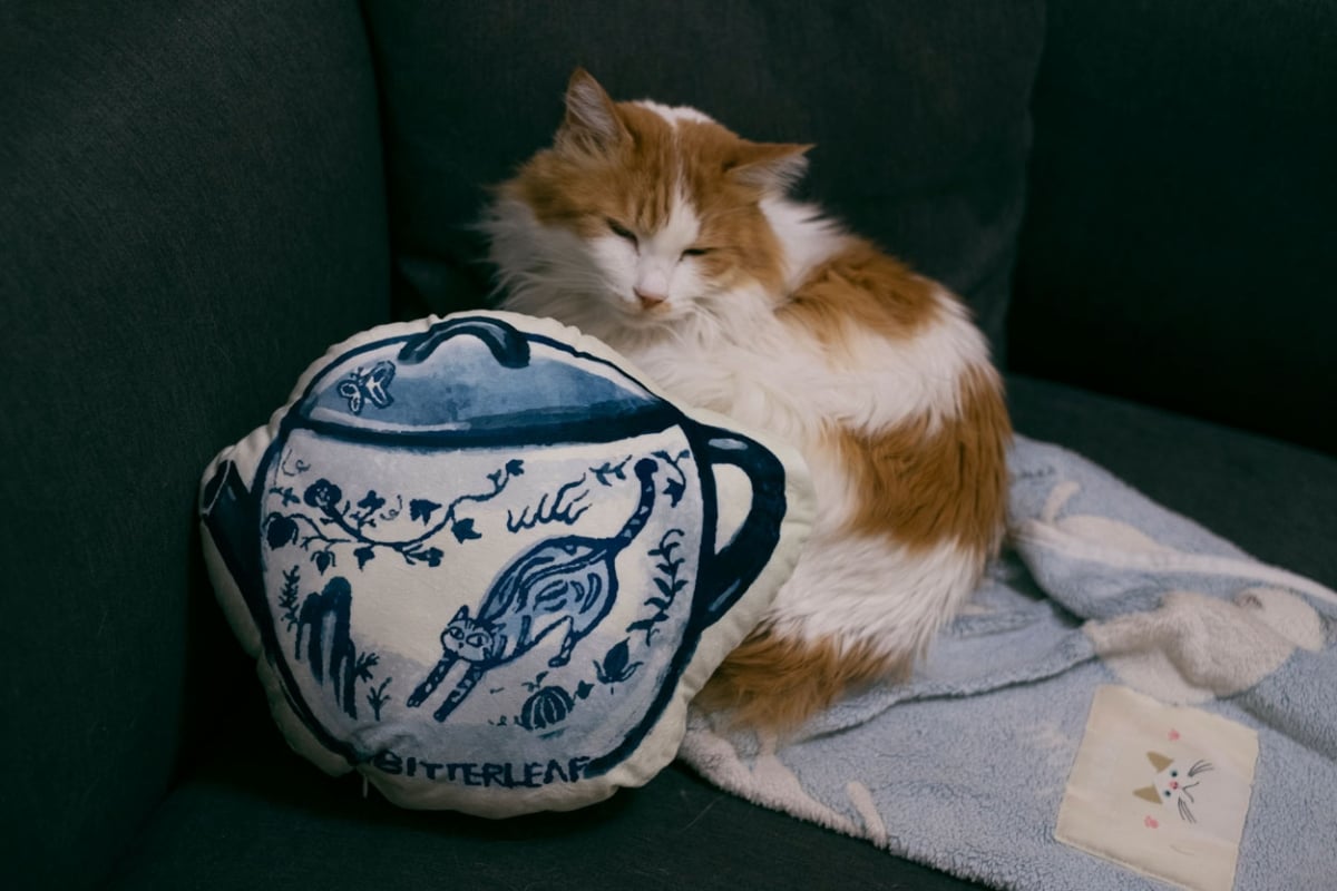 hug it tea pillow 1 | BITTERLEAF TEAS hug it tea pillow 1 | BITTERLEAF TEAS