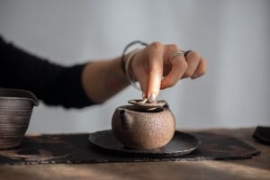 Ironheart Wood Fired Yixing Teapot I