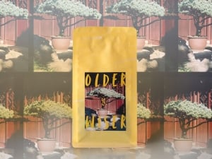 older wiser 80s liubao heicha 1 | BITTERLEAF TEAS