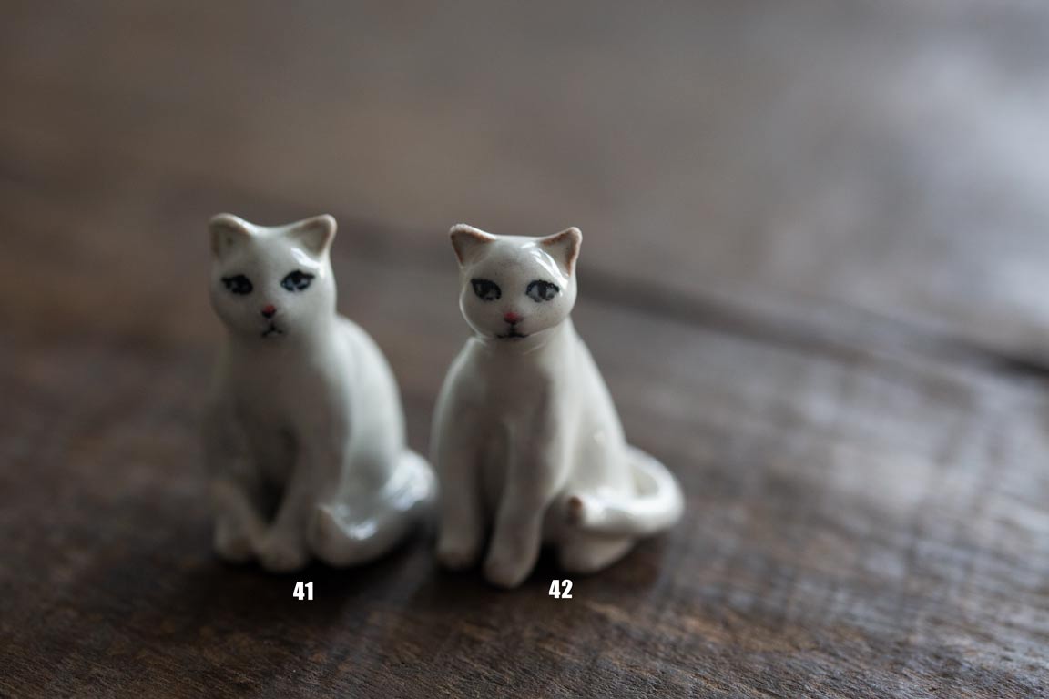 cat republic tea pet white 4 23 3 | BITTERLEAF TEAS cat republic tea pet white 4 23 3 | BITTERLEAF TEAS