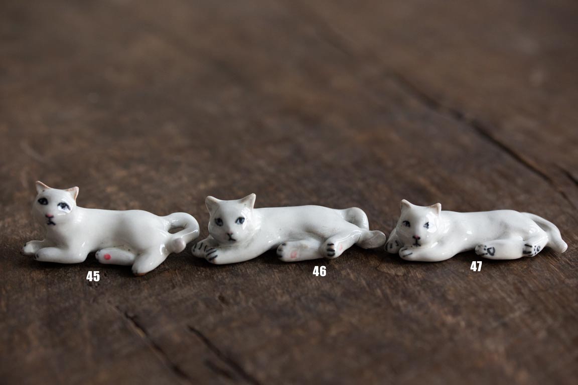 cat republic tea pet white 4 23 5 | BITTERLEAF TEAS cat republic tea pet white 4 23 5 | BITTERLEAF TEAS