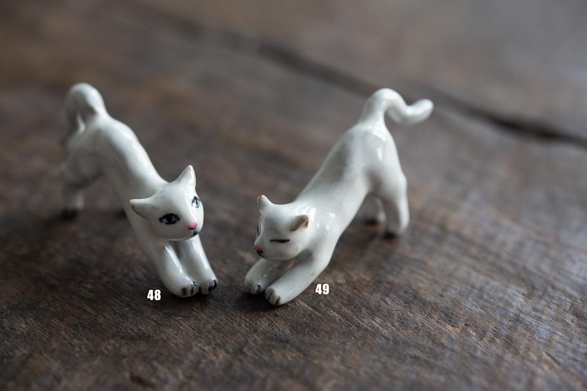 cat republic tea pet white 4 23 6 | BITTERLEAF TEAS cat republic tea pet white 4 23 6 | BITTERLEAF TEAS