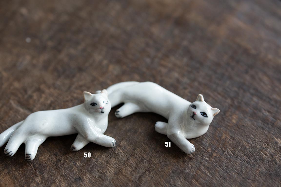 cat republic tea pet white 4 23 7 | BITTERLEAF TEAS cat republic tea pet white 4 23 7 | BITTERLEAF TEAS