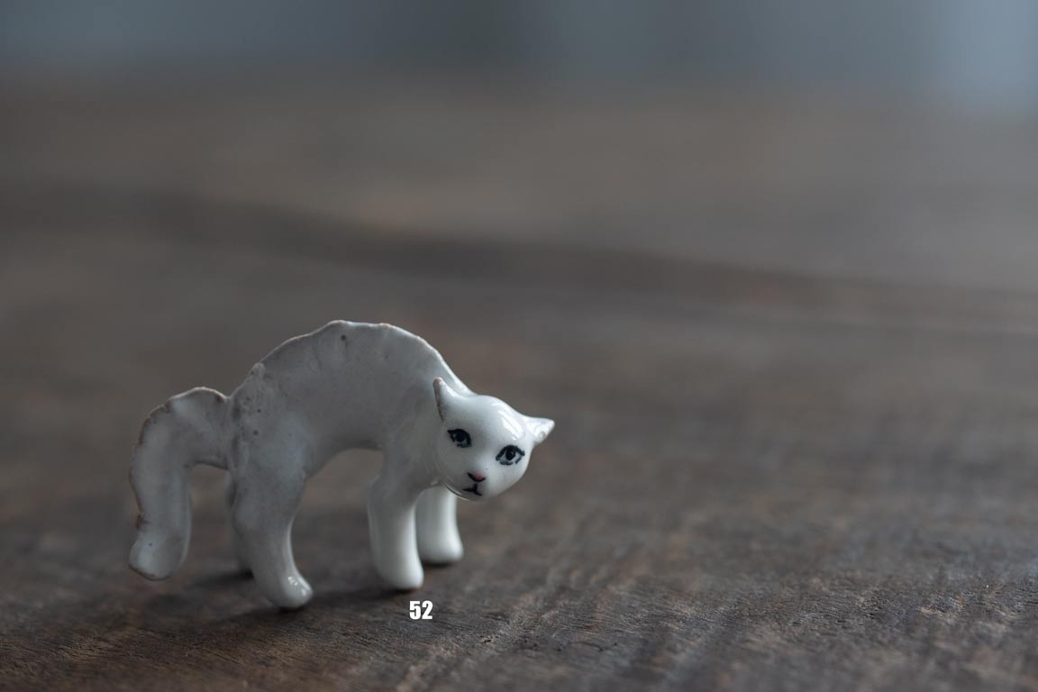 cat republic tea pet white 4 23 8 | BITTERLEAF TEAS cat republic tea pet white 4 23 8 | BITTERLEAF TEAS