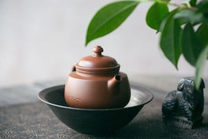 natural-habitat-jianshui-zitao-teapot-fish-i-2