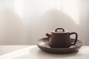 natural-habitat-jianshui-zitao-teapot-fish-ii-5