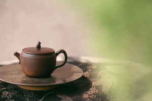natural-habitat-jianshui-zitao-teapot-taihushi-2