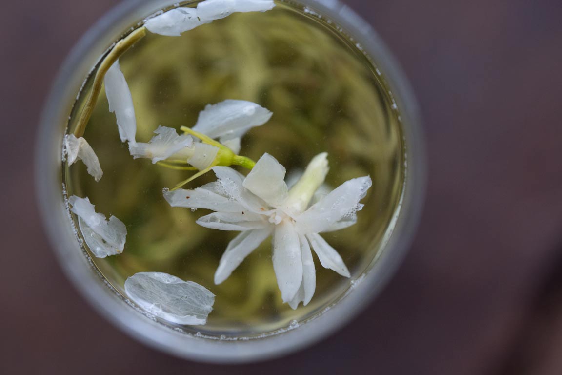 100-yr-teahouse-exp-jasmine-green-tea-7