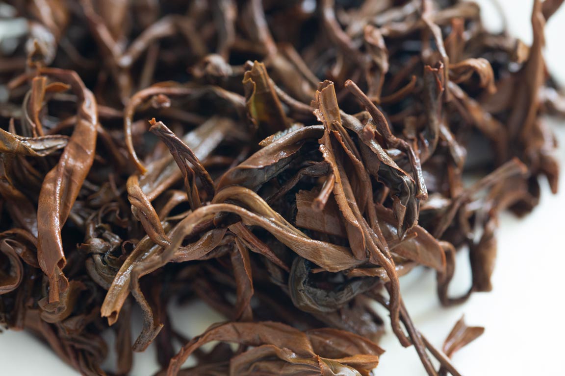 black rabbit 2023 spring yiwu black tea 6 | BITTERLEAF TEAS black rabbit 2023 spring yiwu black tea 6 | BITTERLEAF TEAS