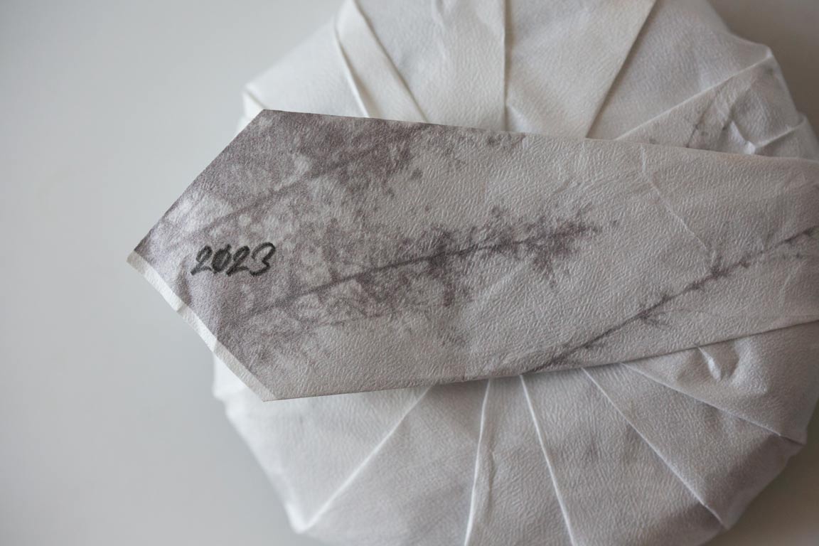 269 2023 bada raw puer 5 | BITTERLEAF TEAS