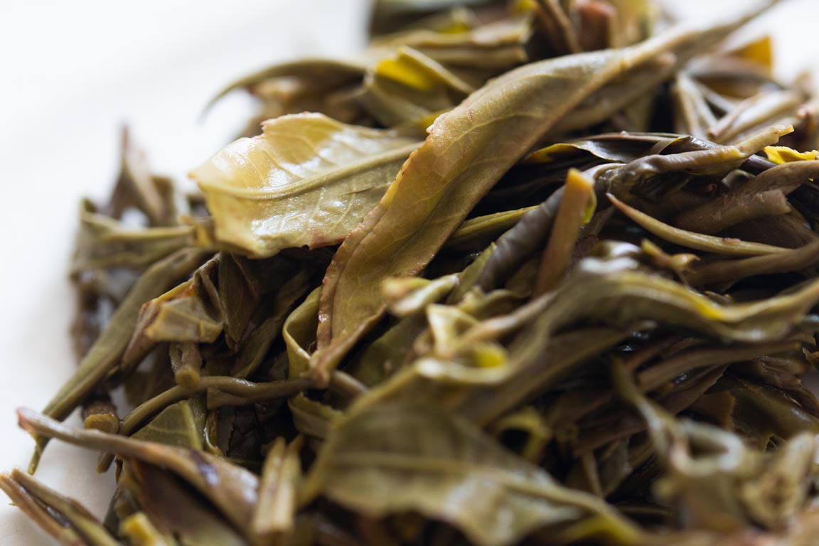 big old ass tree 2023 hekai raw puer 10 | BITTERLEAF TEAS big old ass tree 2023 hekai raw puer 10 | BITTERLEAF TEAS