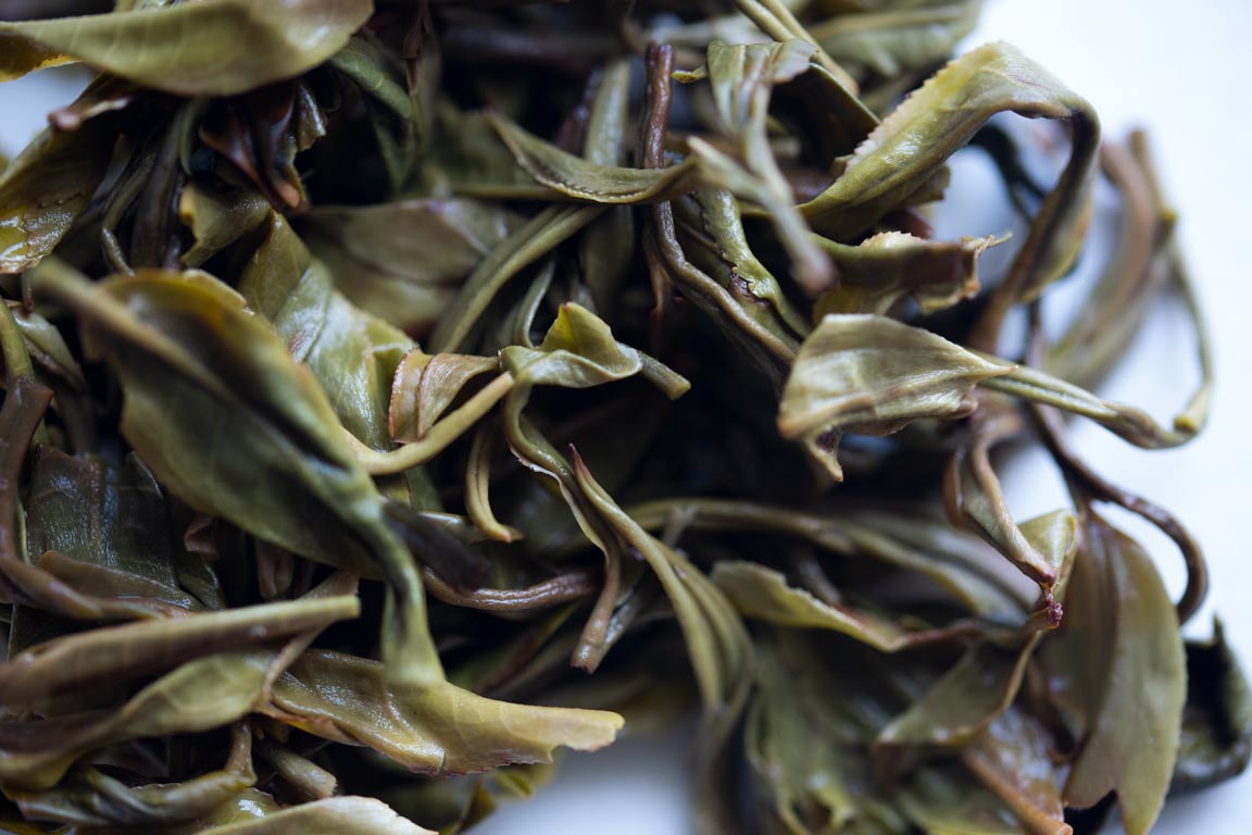 elephant on pause 2023 bada raw puer 2 | BITTERLEAF TEAS elephant on pause 2023 bada raw puer 2 | BITTERLEAF TEAS