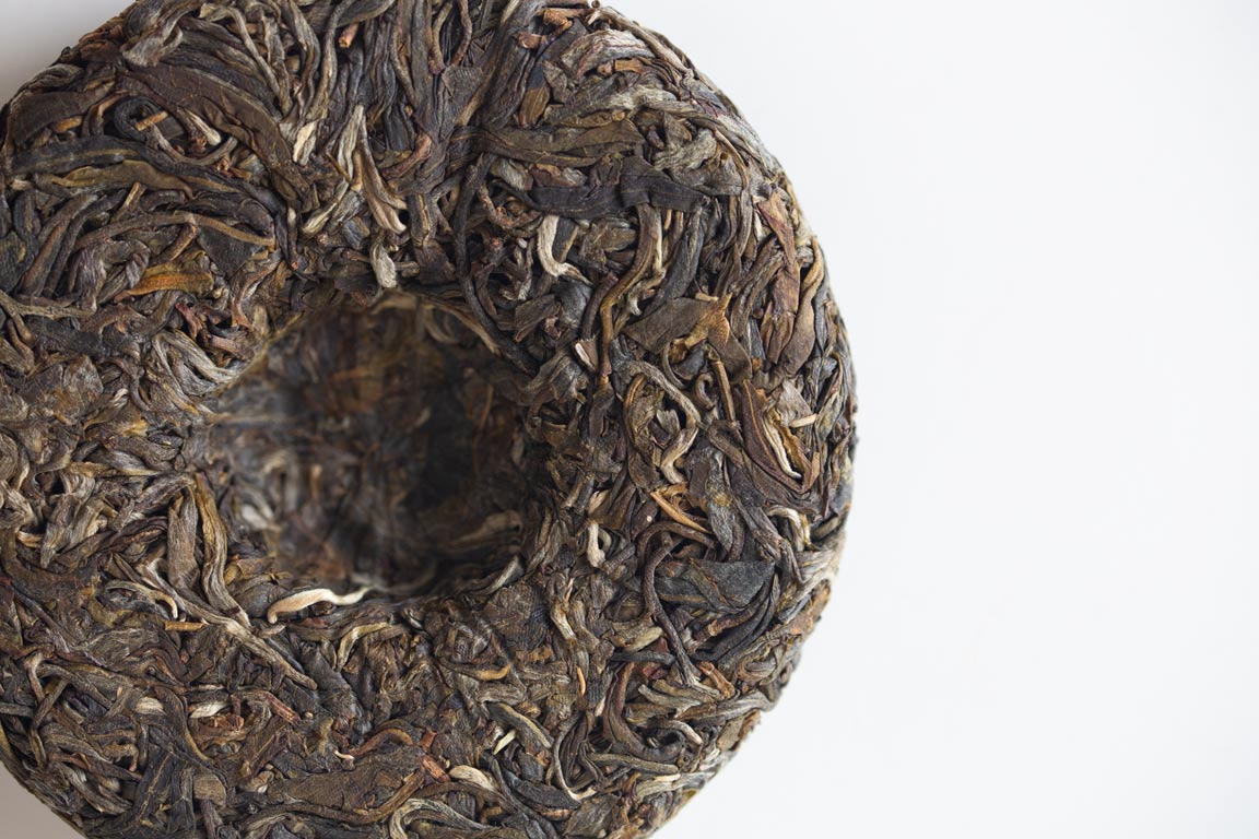 gentle giant 2023 pasha raw puer 4 | BITTERLEAF TEAS gentle giant 2023 pasha raw puer 4 | BITTERLEAF TEAS