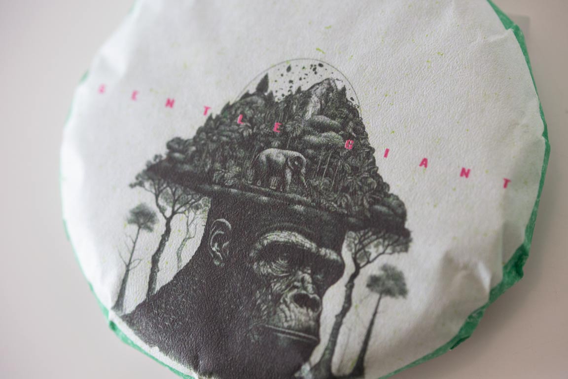 gentle giant 2023 pasha raw puer 6 | BITTERLEAF TEAS gentle giant 2023 pasha raw puer 6 | BITTERLEAF TEAS