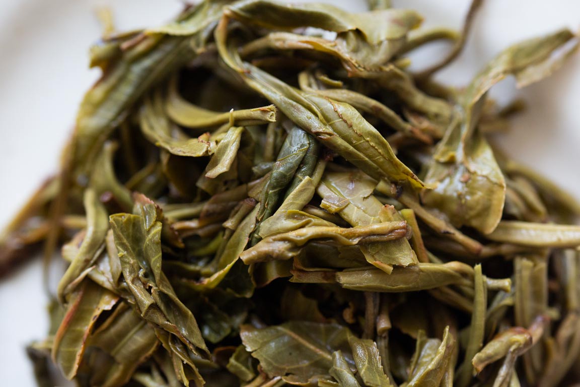 gentle giant 2023 pasha raw puer 9 | BITTERLEAF TEAS gentle giant 2023 pasha raw puer 9 | BITTERLEAF TEAS