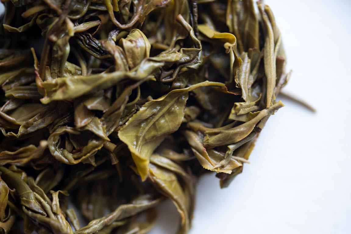 great expectations 2023 pasha raw puer 2 | BITTERLEAF TEAS