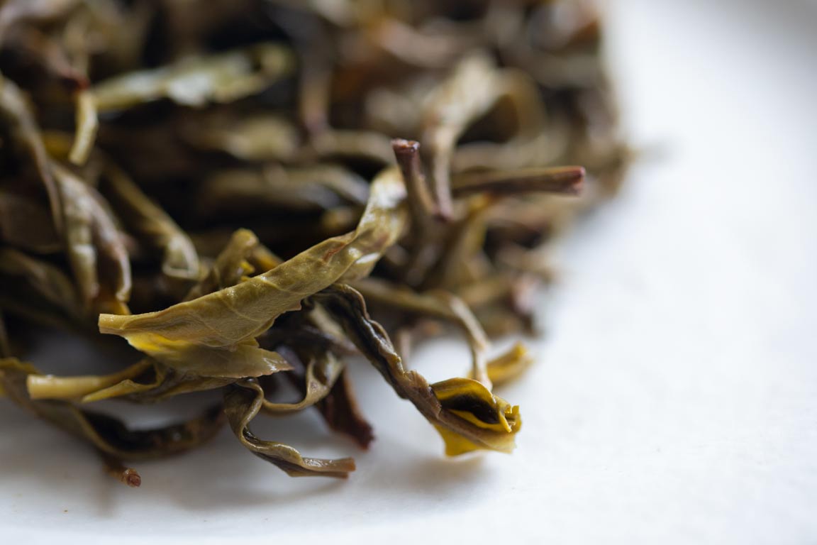 great expectations 2023 pasha raw puer 3 | BITTERLEAF TEAS