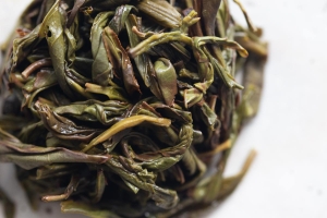 easy-breezy-2023-spring-yashixiang-dancong-4