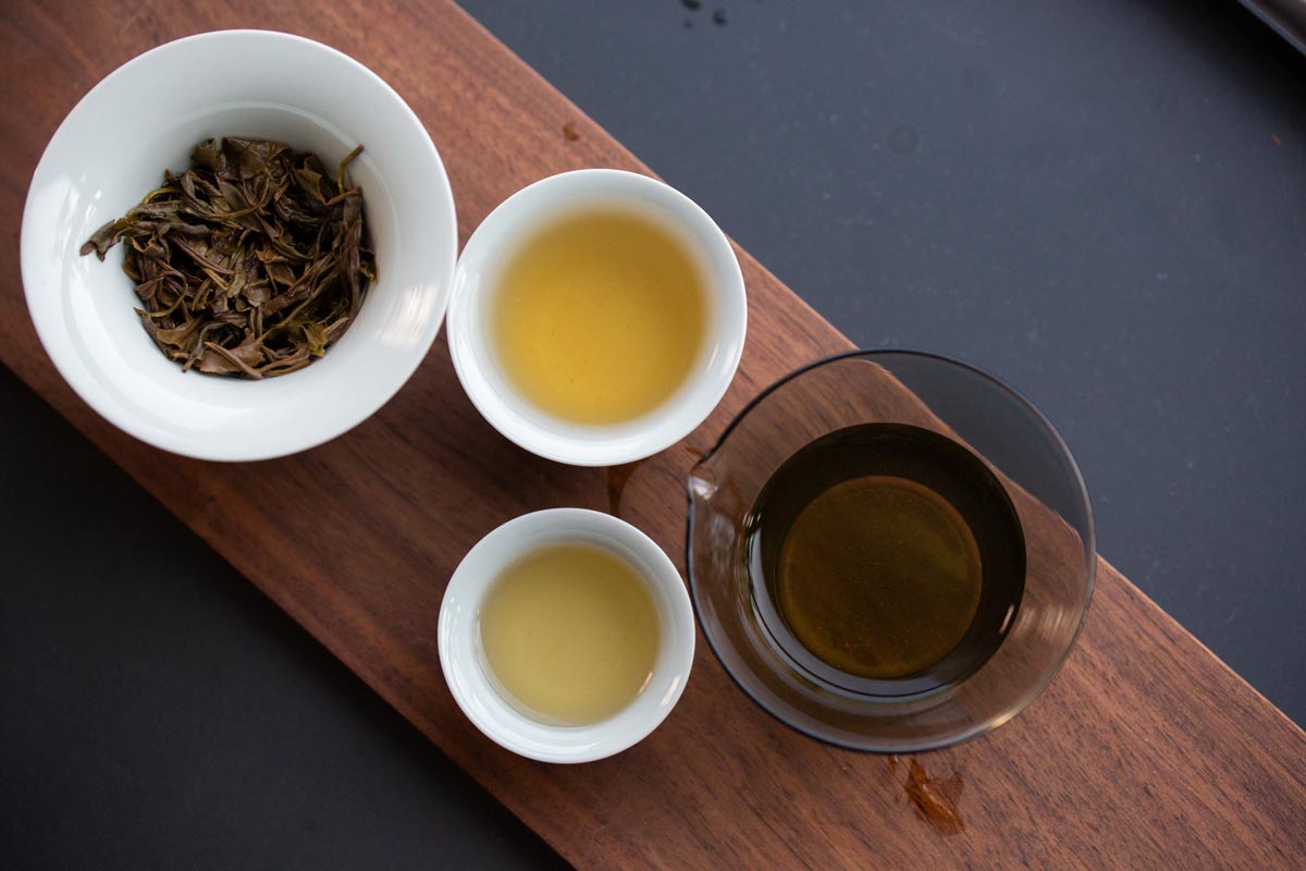 easy brews it gongfu tea travel set 7 23 5 | BITTERLEAF TEAS