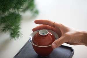 four-seasons-gaiwan-bamboo-2